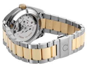 Omega Seamaster Aqua Terra 231.20.39.21.55.004