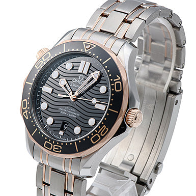Omega  seamaster  210.20.42.20.01.001