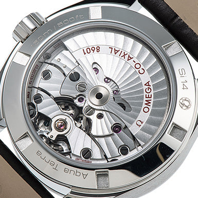 Omega Seamaster Aqua Terra Automatic Chronometer Silver Dial Mens Watch 231.13.39.22.02.001